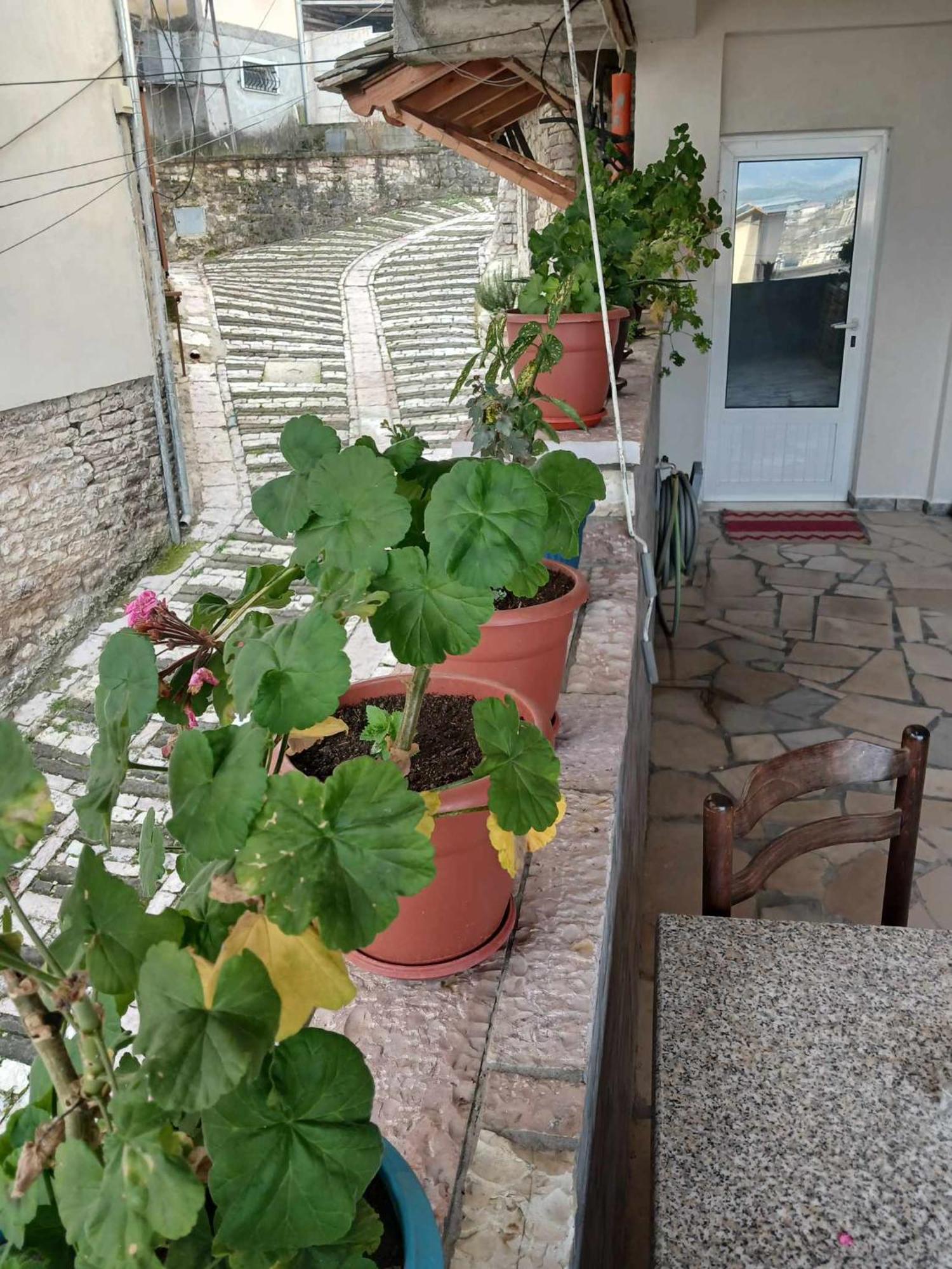 Eniguesthouse Gjirokastra Zewnętrze zdjęcie